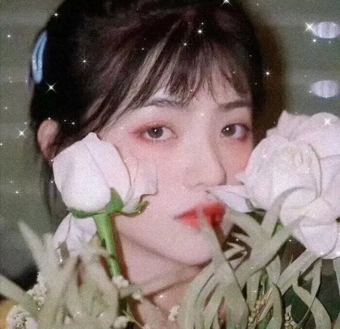 白小姐