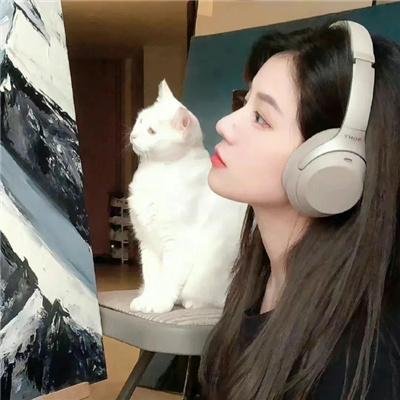 秘密同盟